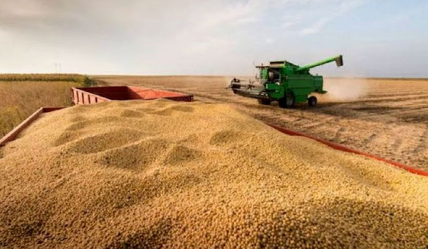 Actividad Agrícola Recobra Y Da Respiro A La Economía